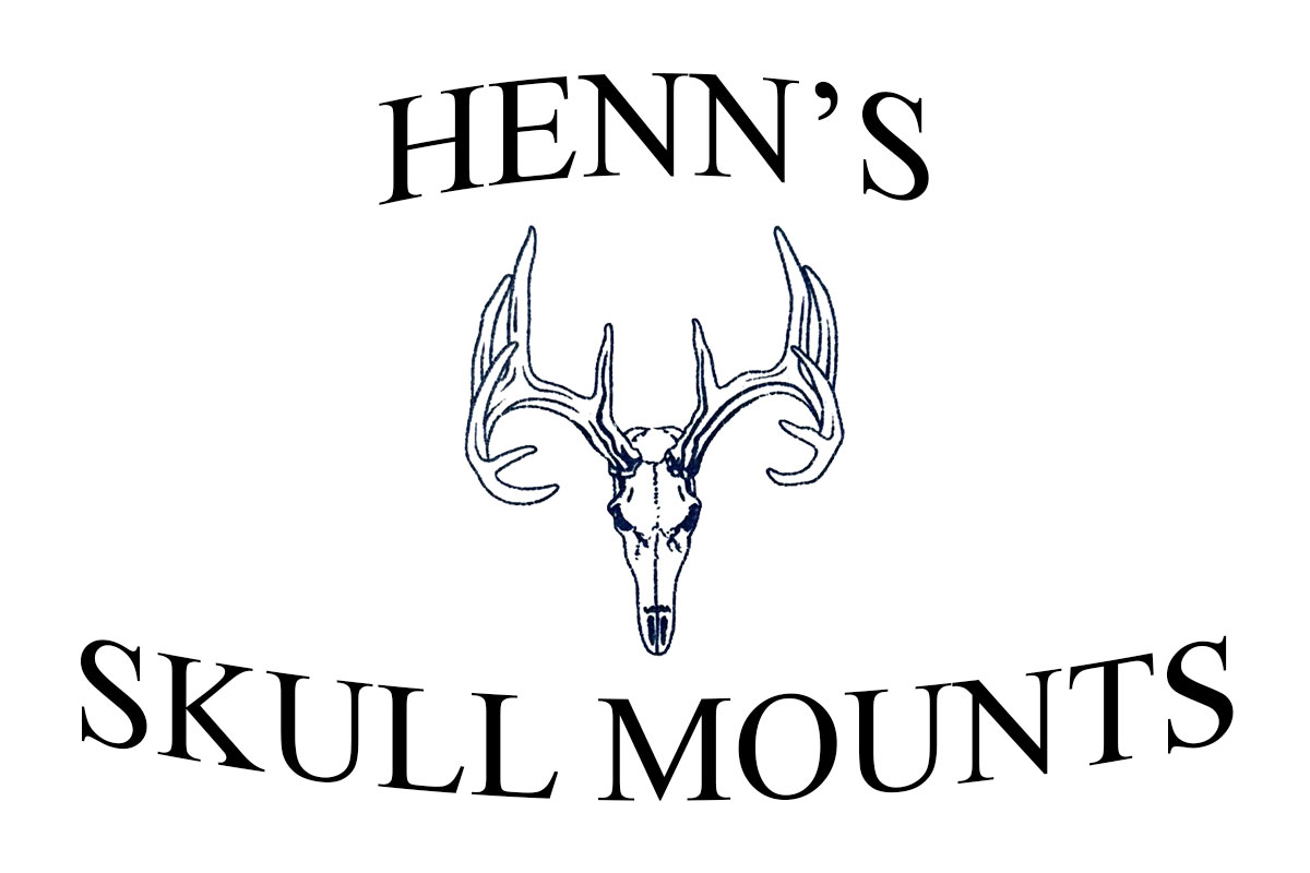 Henn's Skull Mounts